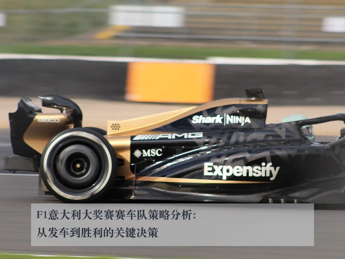 F1意大利大奖赛赛车队策略分析:从发车到胜利的关键决策
